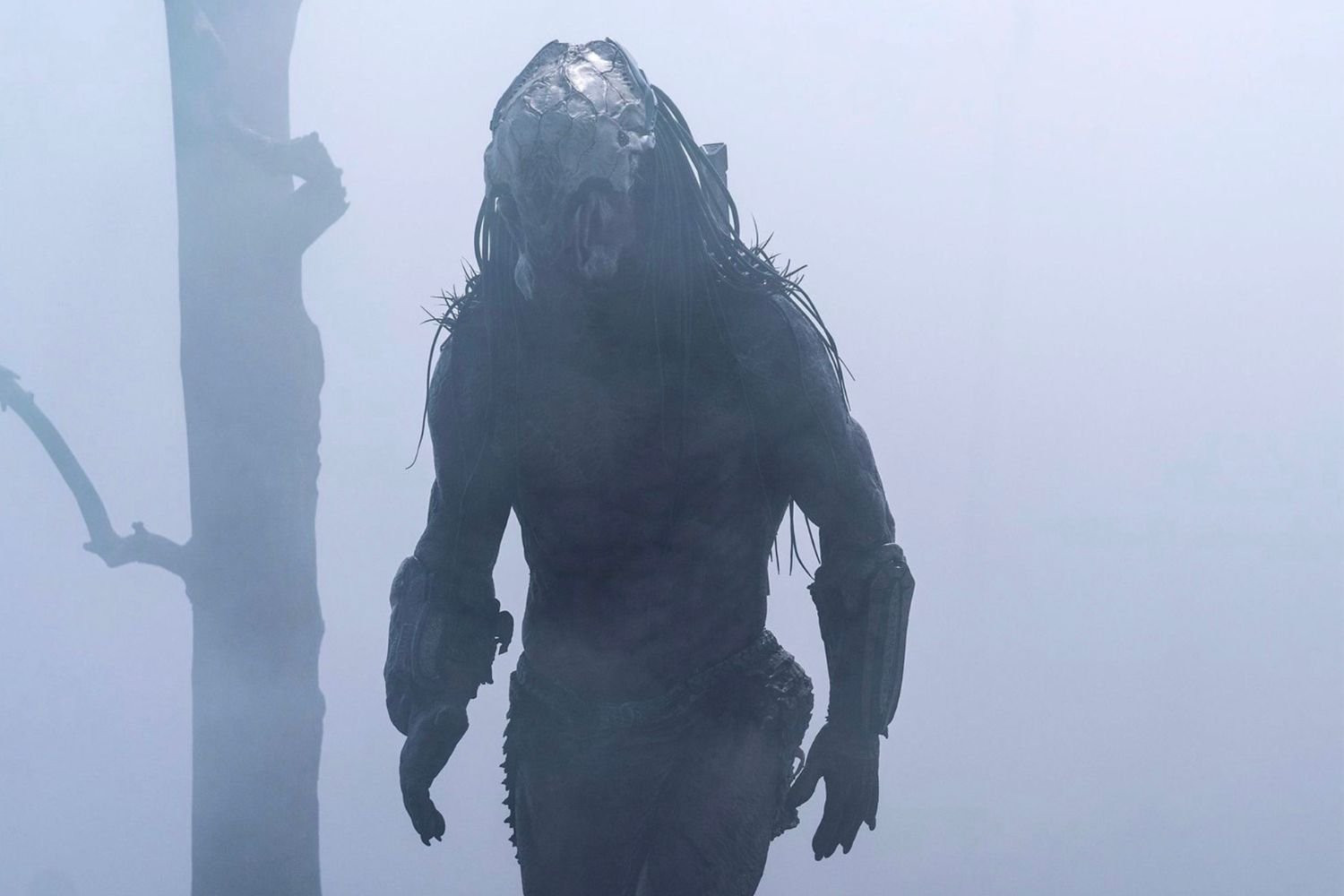 2 New Predator Movies Are Coming in 2025